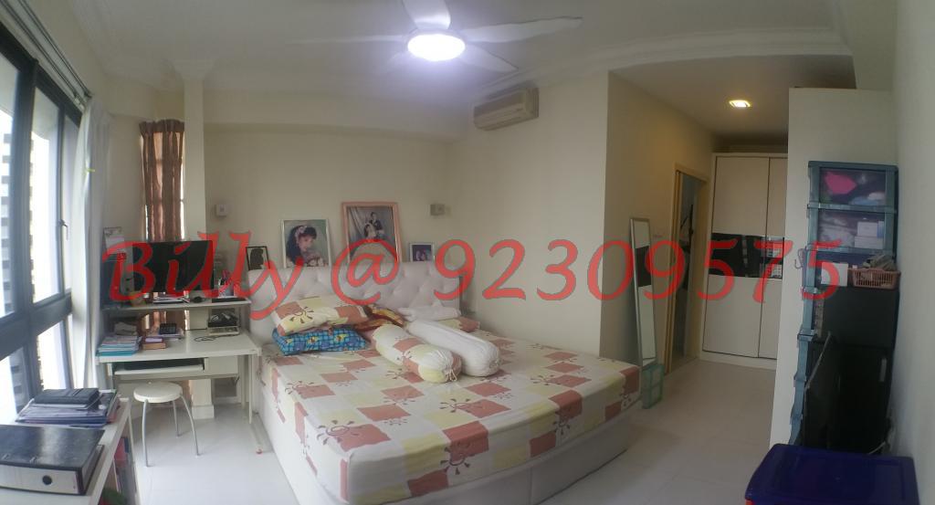 The Tanamera (D16), Condominium #96348142